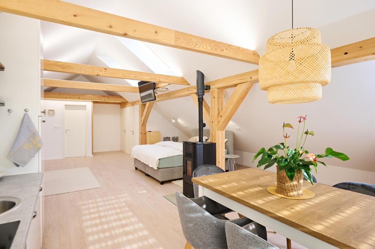 Apartment P42 Slovenj Gradec Zewnętrze zdjęcie